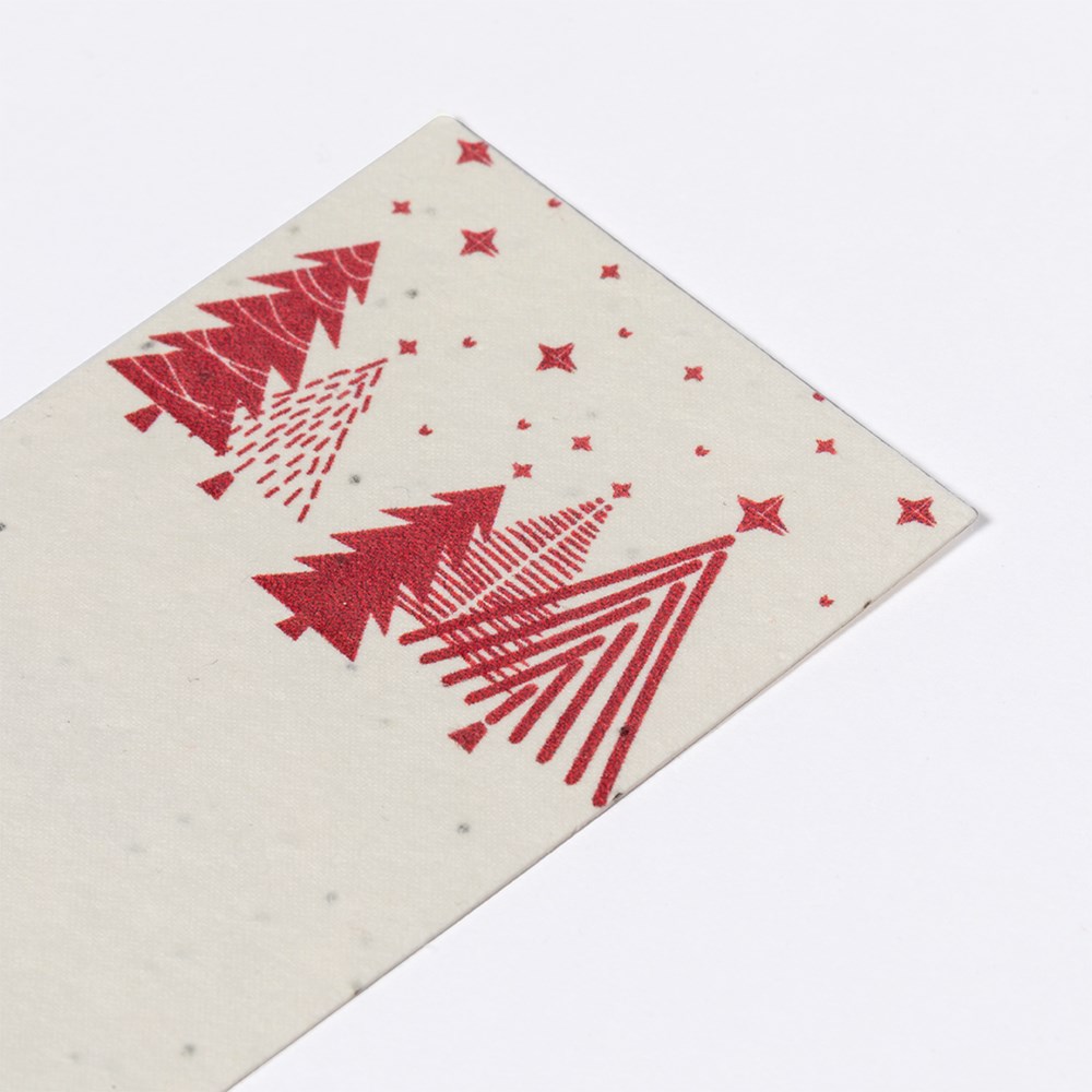 Zaad Bladwijzer Baird