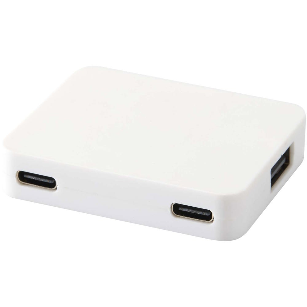 Gaia 4 poorts USB hub met uitgangen voor USB-A en Type-C en dubbele ingang van gerecycled plastic - Wit