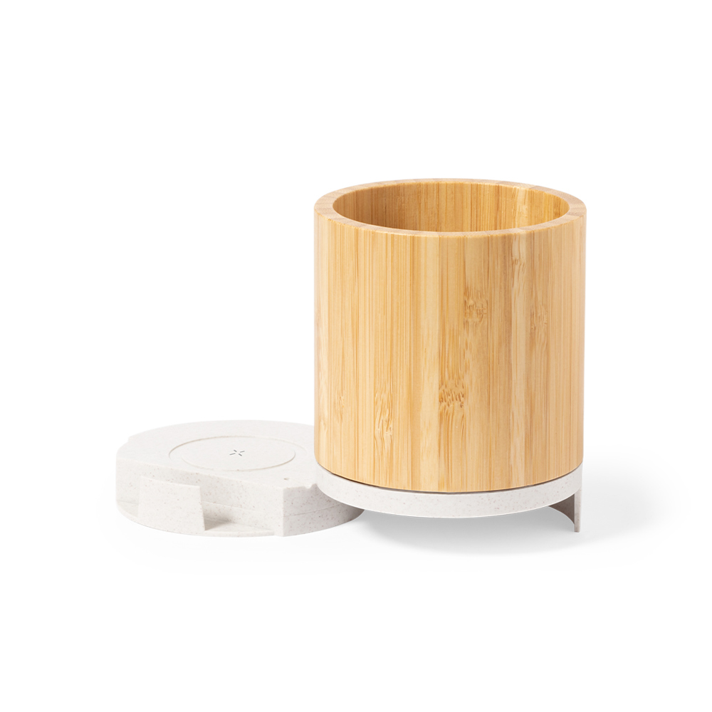 Multifunctioneel Pennenbakje Birwen