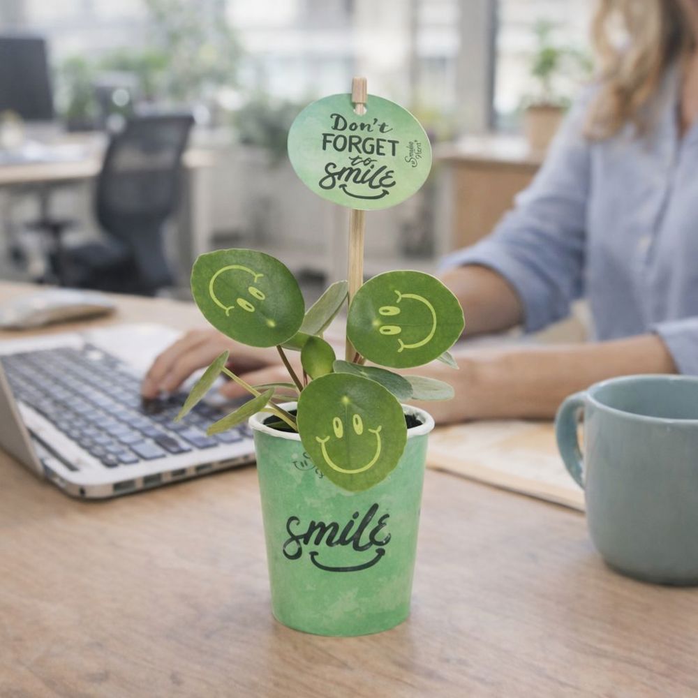 Smylieplant® - Happy in papercup (small), In beschermende plantensleeve