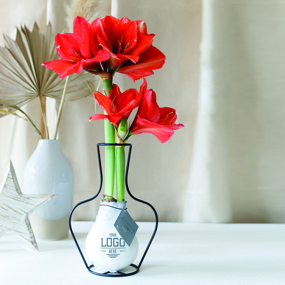 No Water Flowers® - Formz classic, In carry bag, Zwart