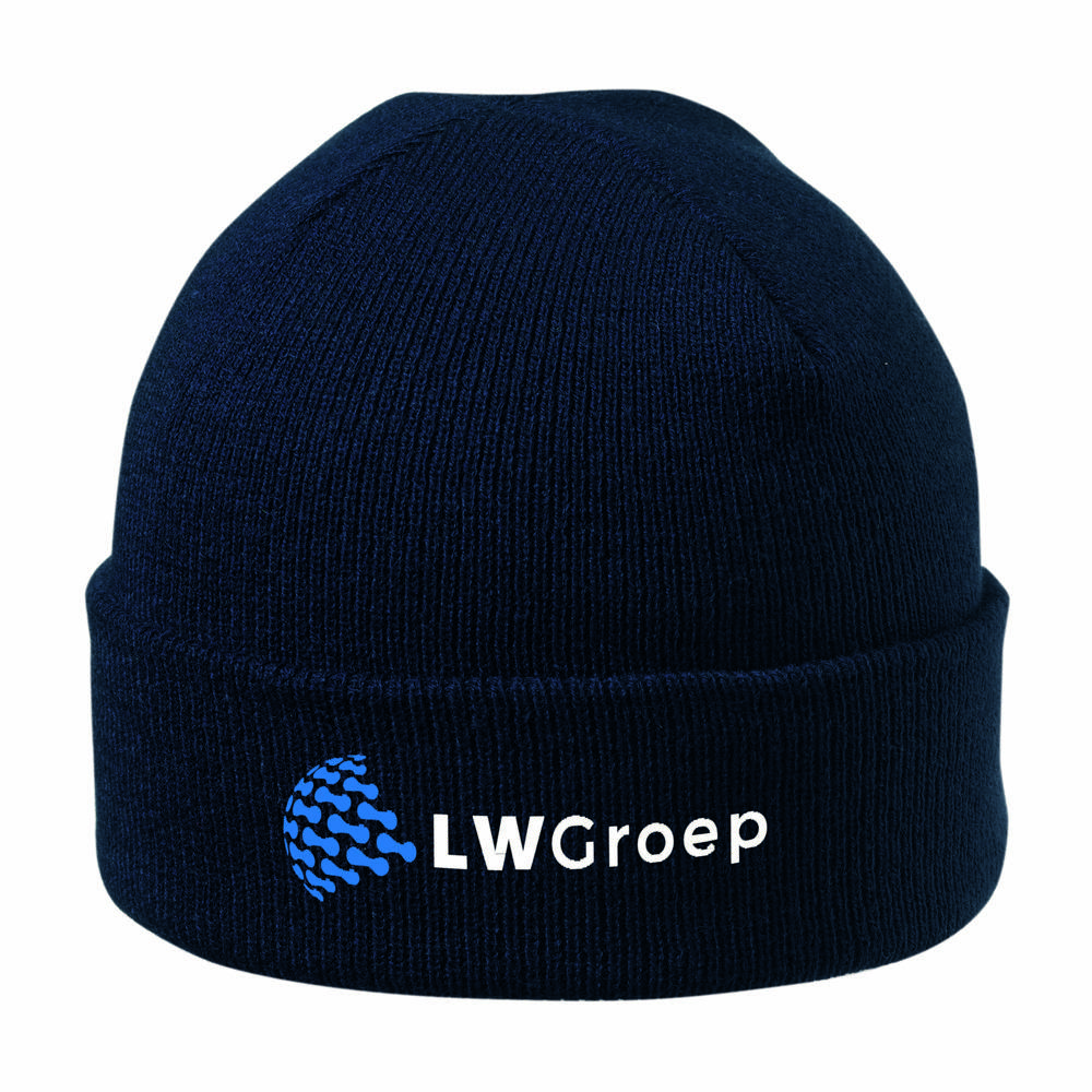 Beanie With Brim - navy