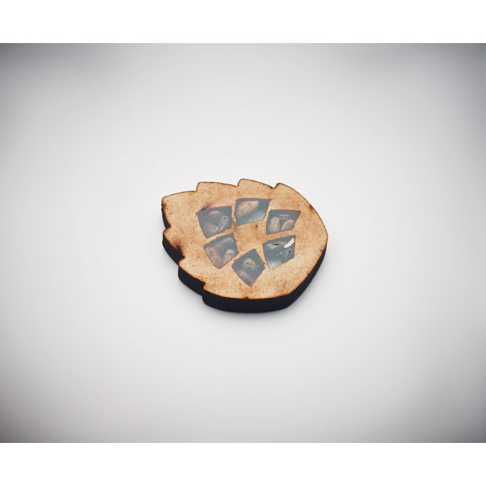 GROWTREE™ - Pijnboom set