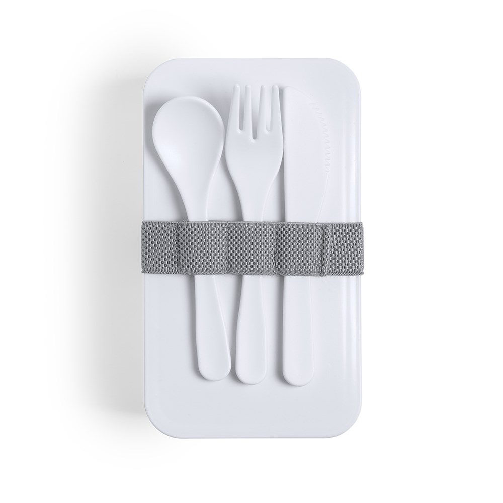 Antibacterieel Lunch Box Fandex