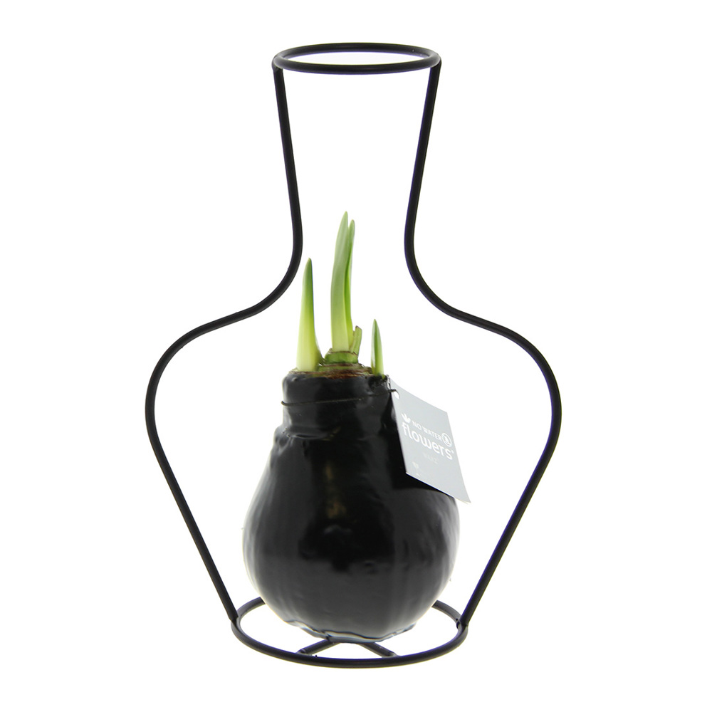 No Water Flowers® - Formz classic, In carry bag, Zwart