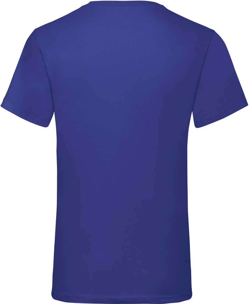 SC22VC - Men's Valueweight V-neck T-shirt (61-066-0)