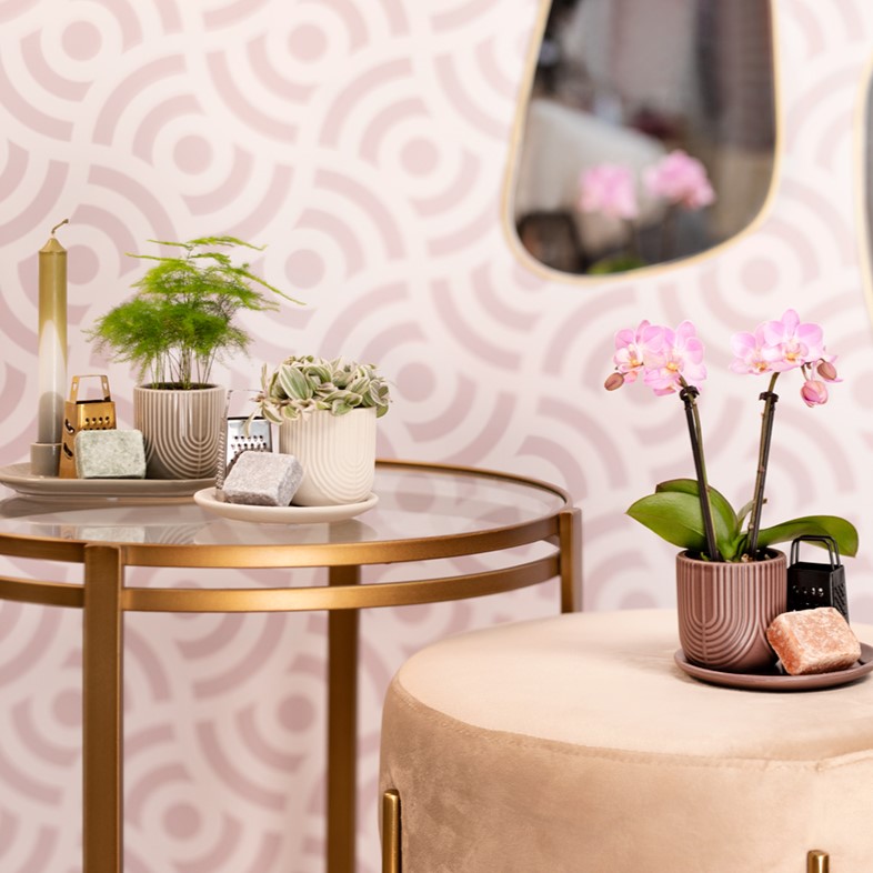 Aromatic Christmas Giftset large