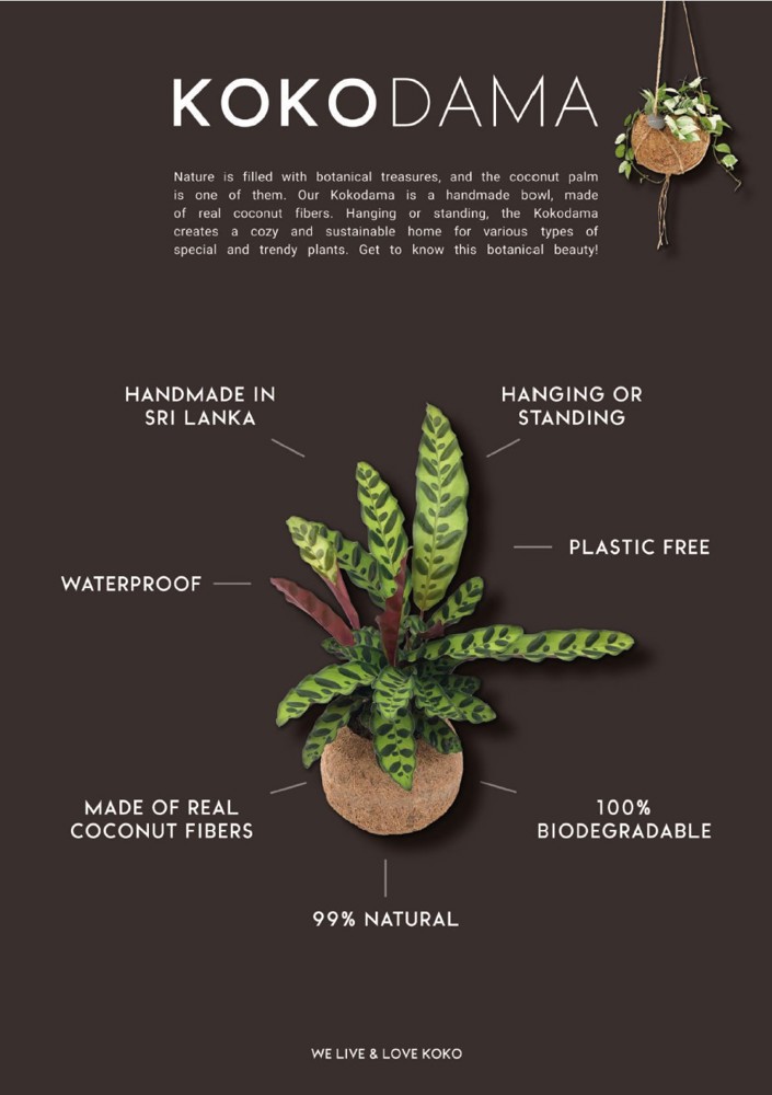 Kokodama® - Christmas tree (S), Zonder verpakking