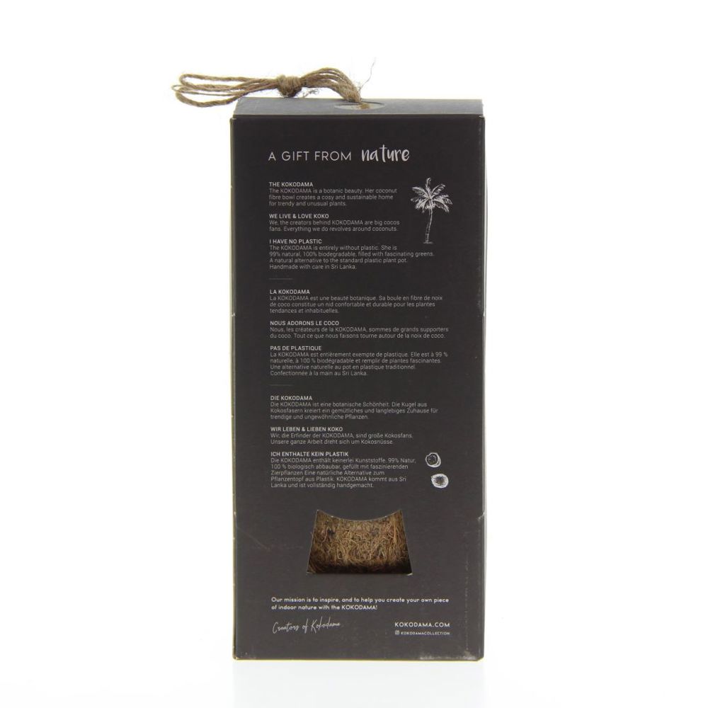 Kokodama® - Christmas tree (S), Zonder verpakking