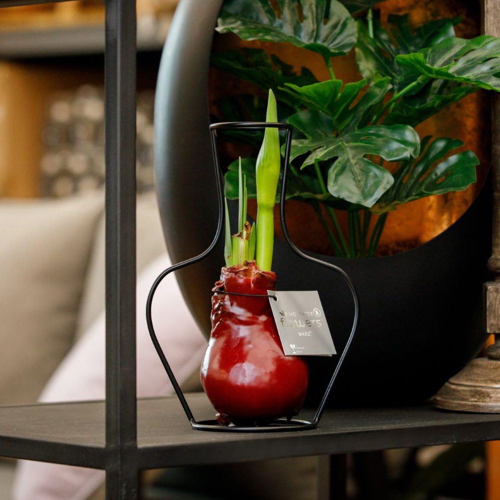 No Water Flowers® - Formz classic, In carry bag, Zwart