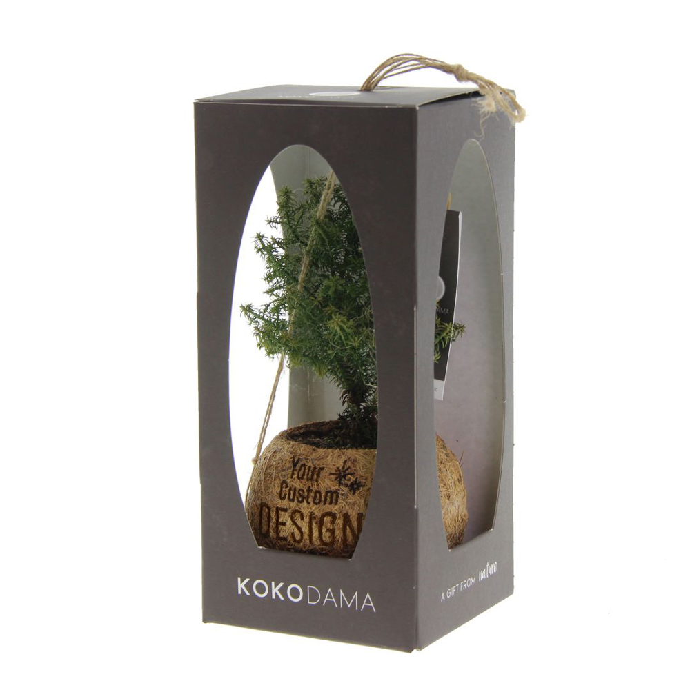 Kokodama® - Christmas tree (S), Zonder verpakking