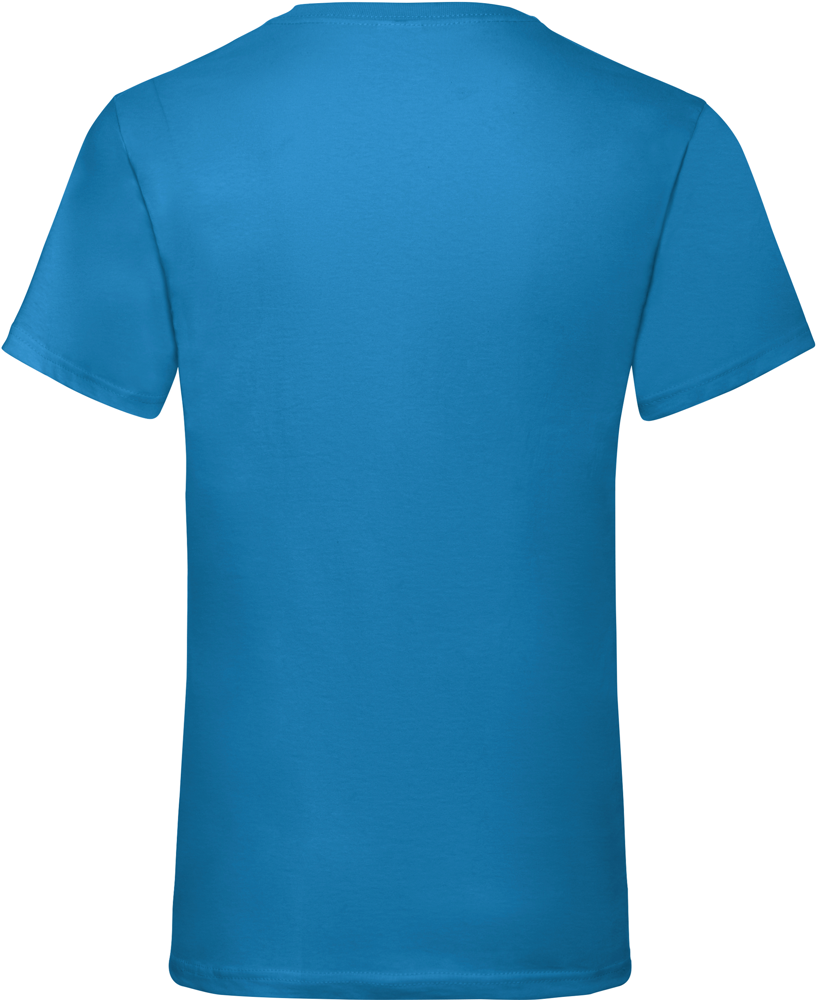 SC22VC - Men's Valueweight V-neck T-shirt (61-066-0)