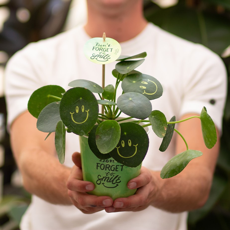 Smylieplant® - Happy in papercup (large), In beschermende plantensleeve