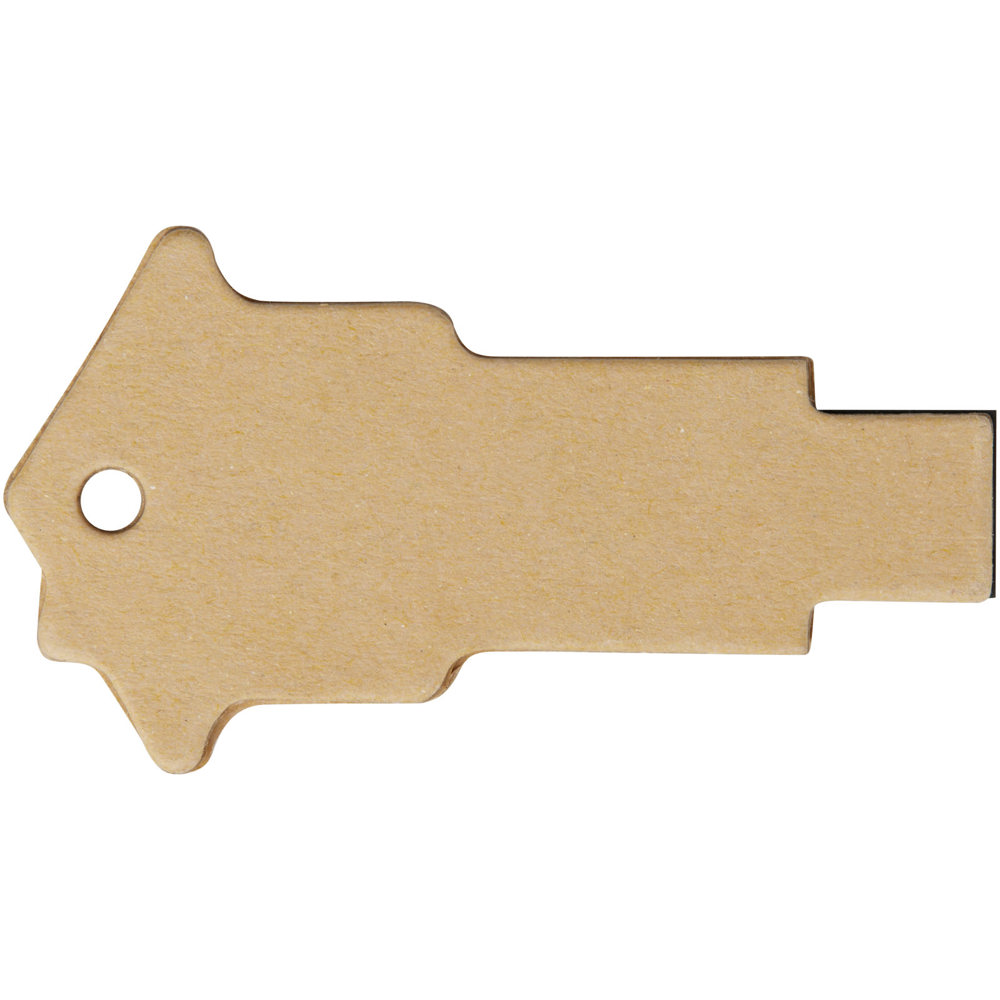 Huisvormige USB 2.0 van gerecycled papier