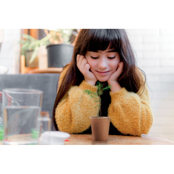 GROWTREE™ - Pijnboom set