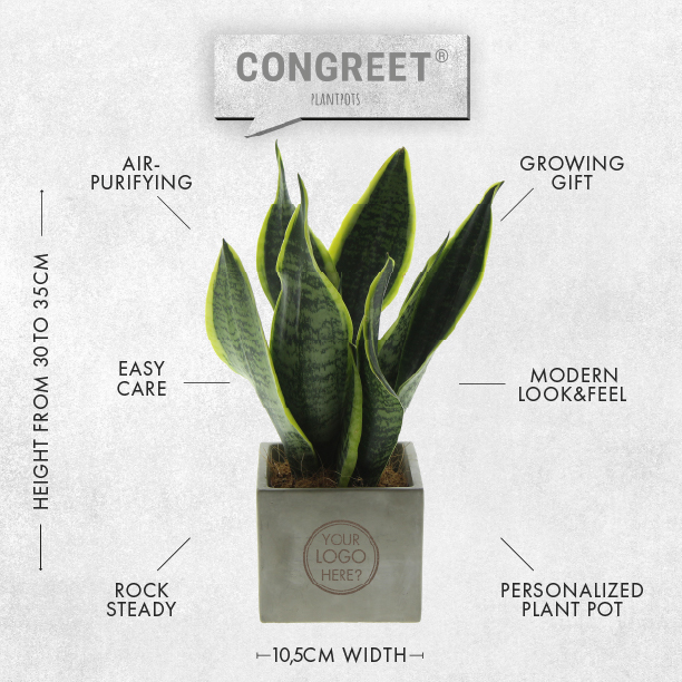 Congreet® plantpots large, Zonder verpakking