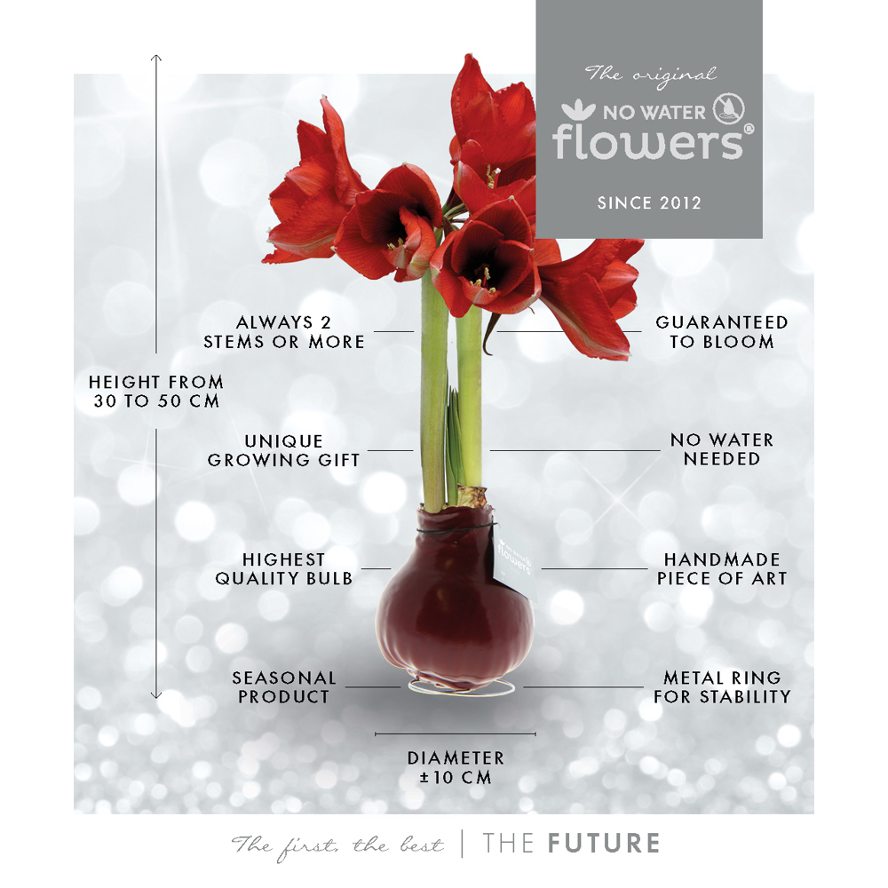 No Water Flowers® - Formz classic, In carry bag, Zwart