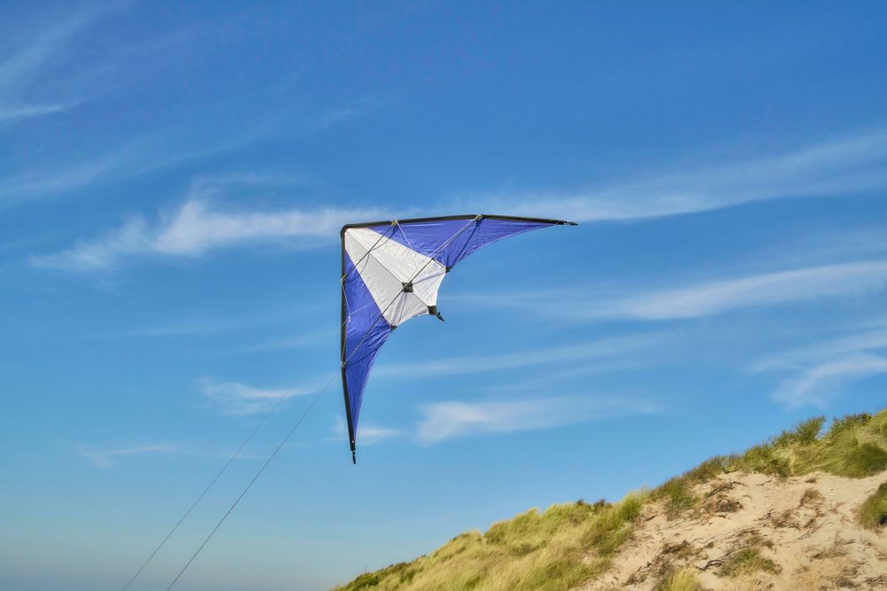 Cerf-volant delta en polyester ripstop 210T Lirien