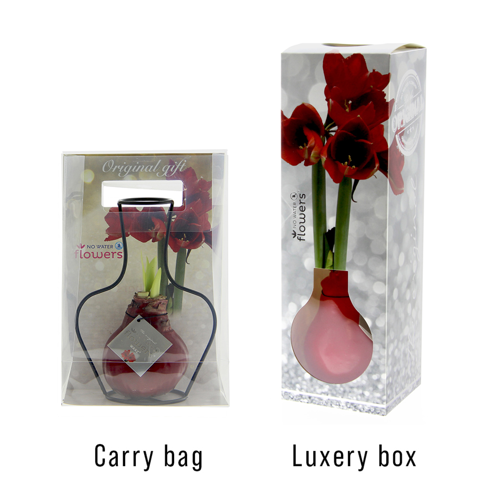 No Water Flowers® - Formz classic, In carry bag, Zwart